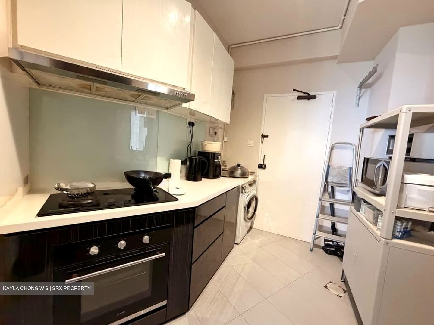 Bayshore Park (D16), Condominium #603227351